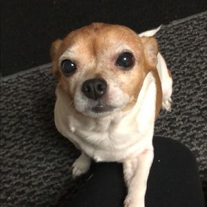 Meet your Posher, Ruby